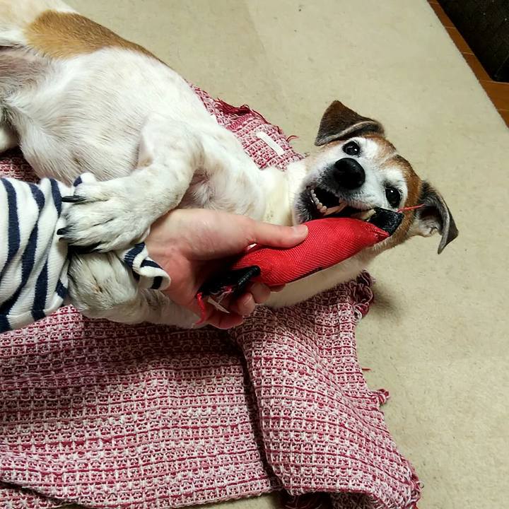 569ae6e2 58c2 4049 8689 d20c109011d7 1550378143304