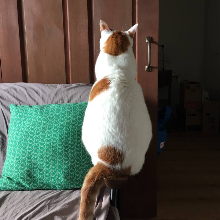 569b0905 9ff3 45d3 bd7f 0d3128e2053e 1514333467286