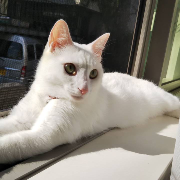 569b0f87 58f5 49de a375 b1b16c25a6f6 1634190811701