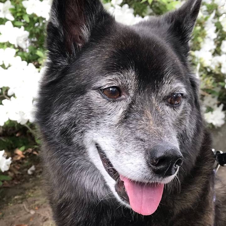 569b8d15 0eed 4af8 9f28 999a168dca6e 1591615359572