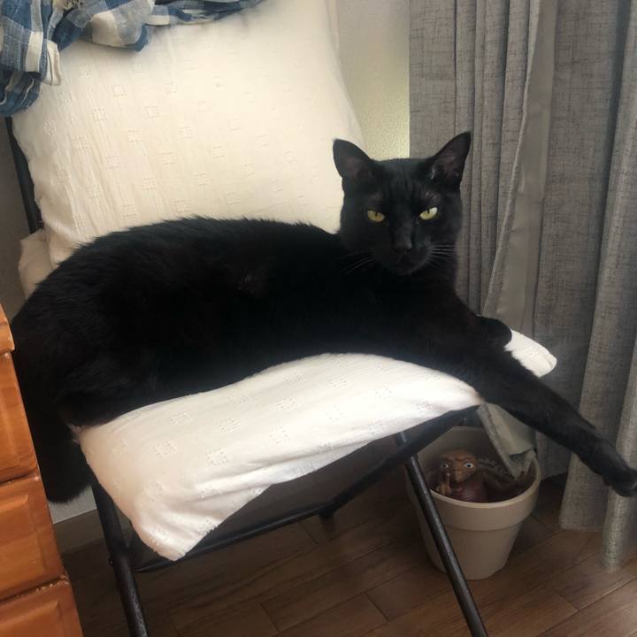 569b9865 059a 4143 8f44 9b74744d1759 1620124416985