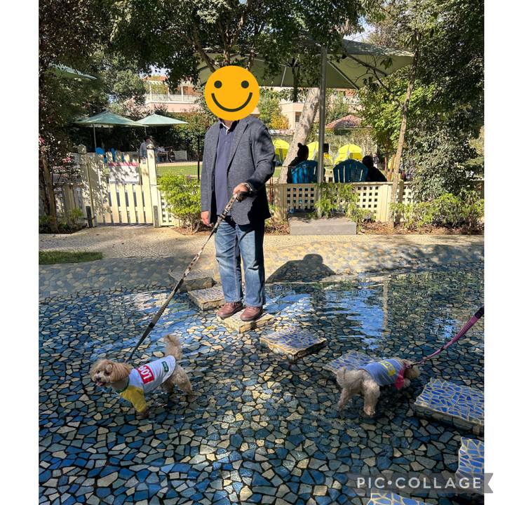 569bddac d655 4dd2 a687 61b1ee040a6b 1697294138035