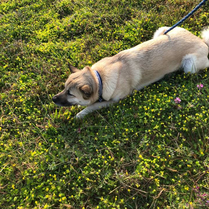 569bf3c9 398c 4fdf 9144 9d5b28fb06f7 1555674525193