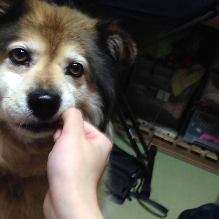 569c1f3b 8c10 49a7 a76e 3de0ff9134aa 1622699015909