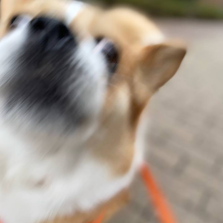 569c56d0 bb83 46e3 aaf1 f705af8d7ac7 1707103485659