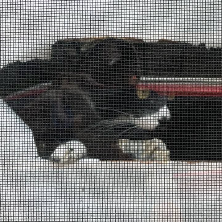 569c77aa 13fe 4acd 8066 7872350c84b7 1722483707661