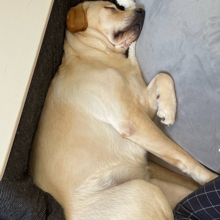 569c7bfa 6aa2 4e66 861b e68532d09625 1641135773223