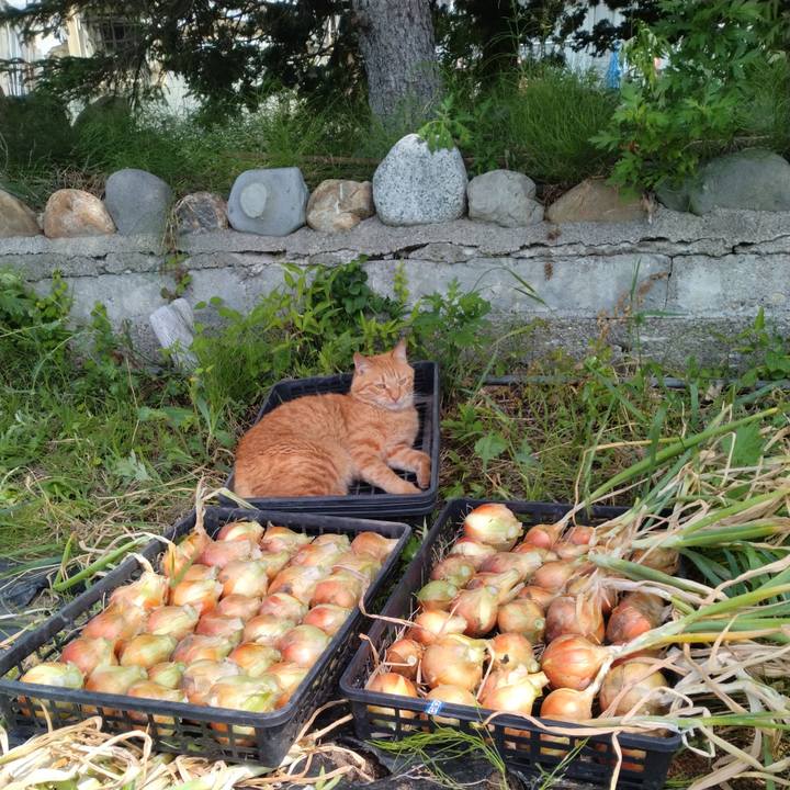 569c863f 7485 4fc5 ac2d 3fa6fce0ace8 1719022564521