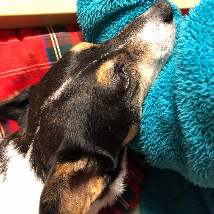 569c8f09 1962 4673 ad5e 81d32f4c1053 1526298272824