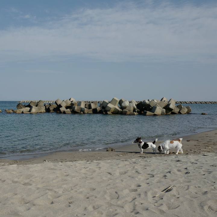 569cd5ca 8fad 4677 b0dd 0c77f21ab770 1529815915664