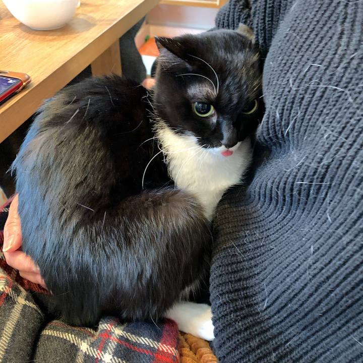 569d219a bbab 4b50 9182 38c93559e966 1580640936576