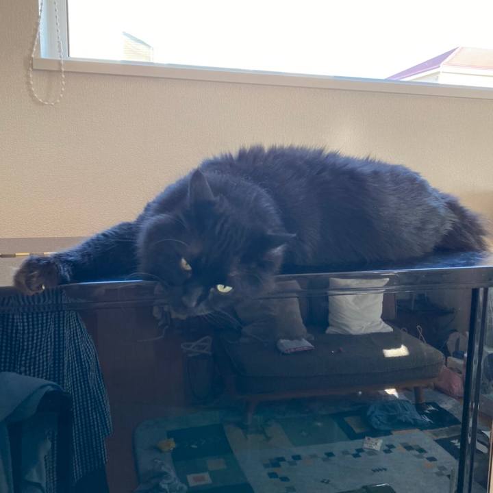 569d2b97 e554 4bb9 840c a81c49335da7 1595687638184