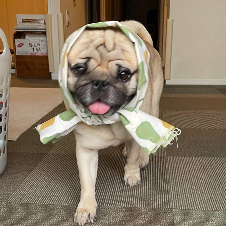 569d772c 9bad 4fe9 9701 2913ede3683a 1691581513730