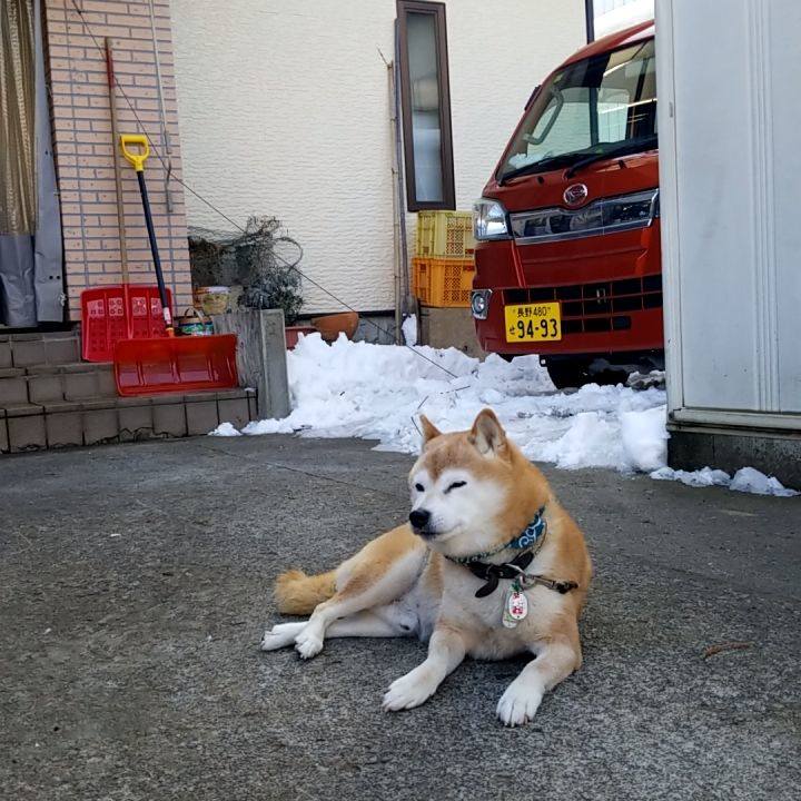 569d7dae adea 4feb 8546 5f754942cfd8 1703466614761