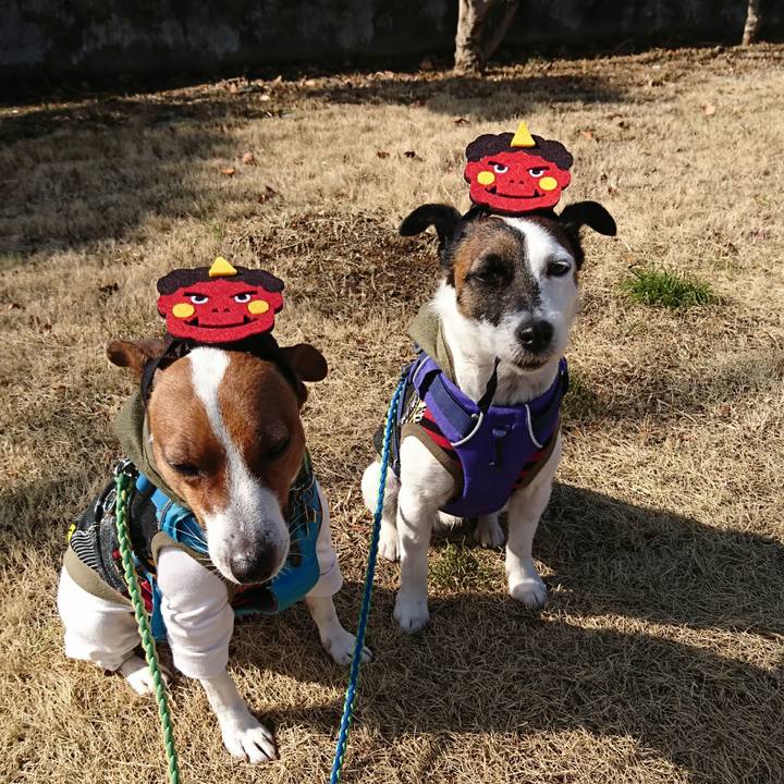 569db1c6 b291 4fe2 b7ba de327d5c55d1 1612242606161