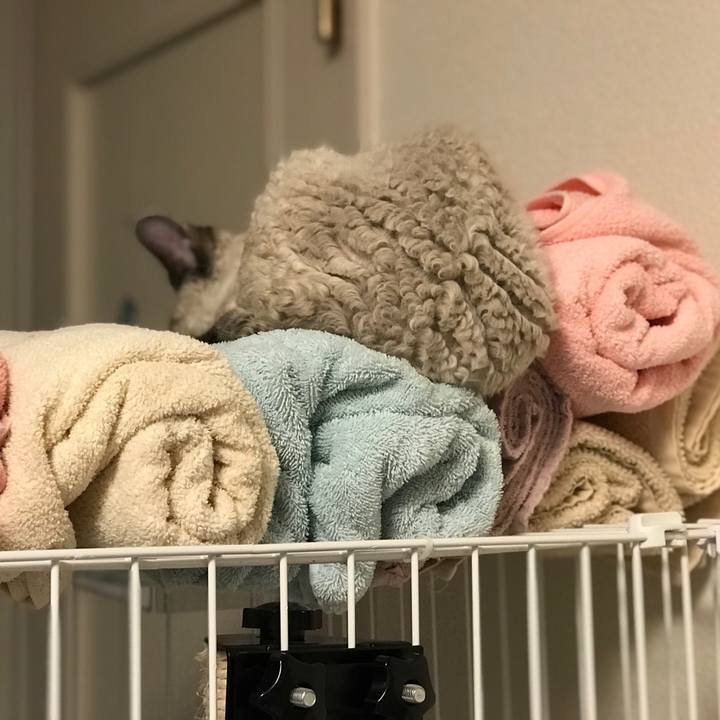 569dc193 61c3 4045 b439 c5e37e235f0f 1595686876847