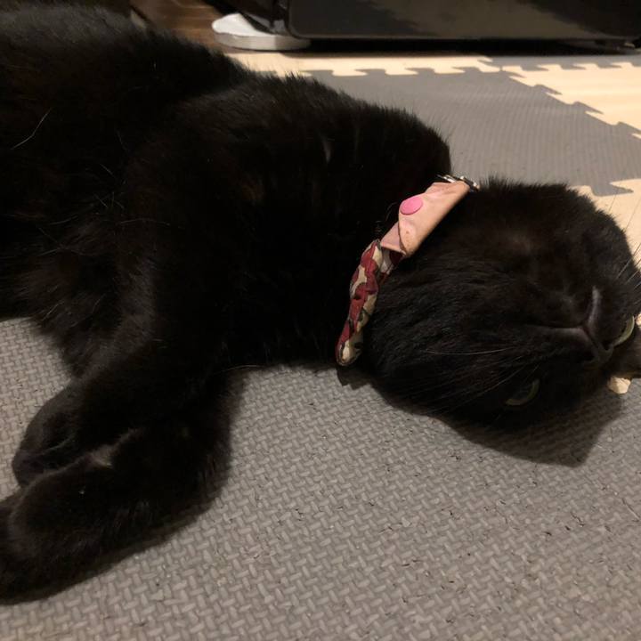 569dc9ba 99cd 4cb2 85af f0a672824f88 1595242865583