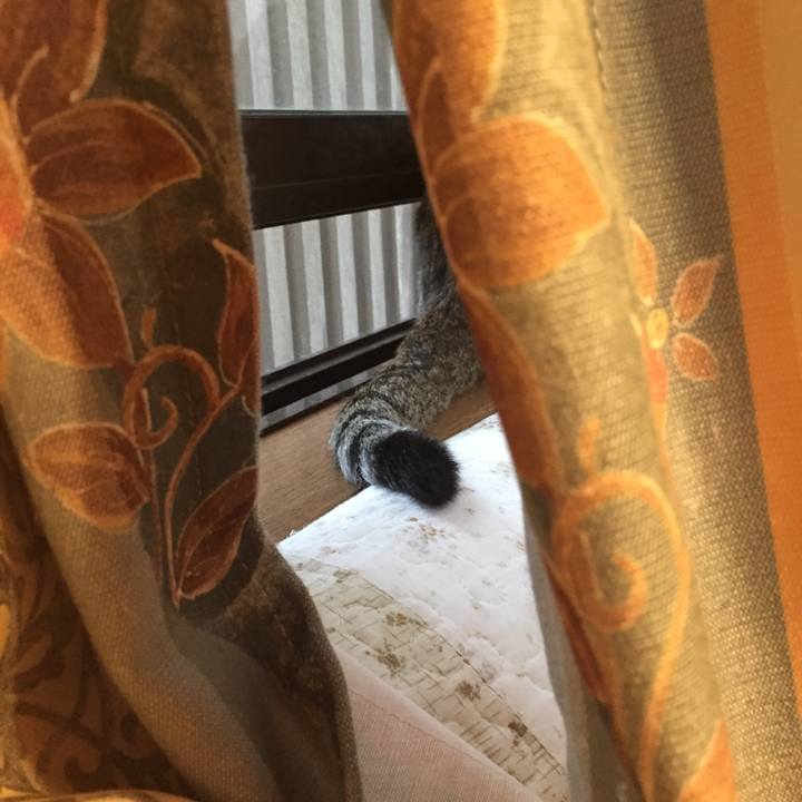 569ddaee 68e6 471a a54e 5881c46f7559 1507848268790