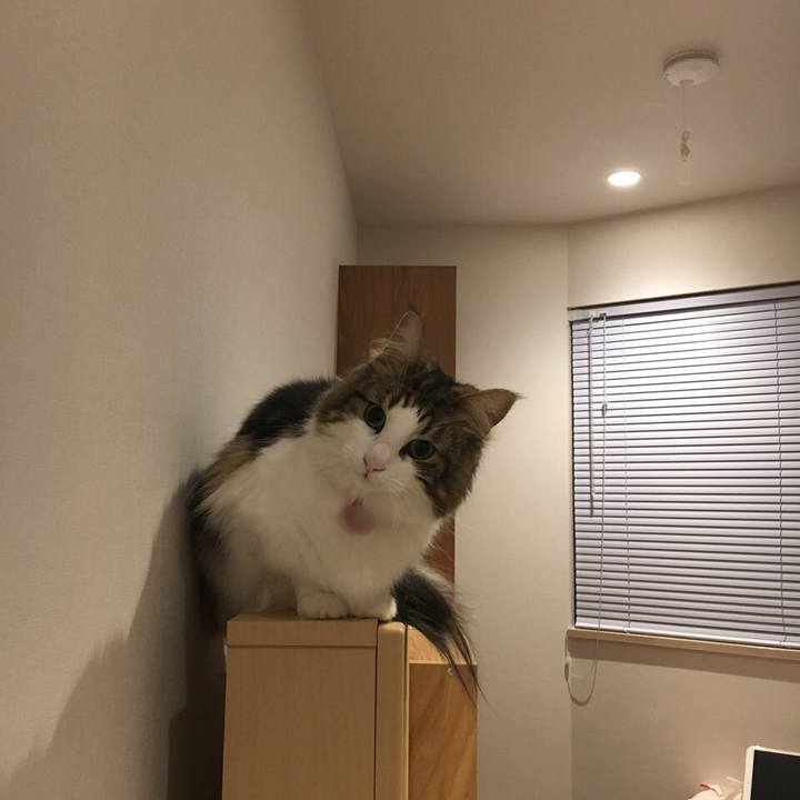 569de9a5 3fcb 4d29 be64 8d1f6fe9d1e2 1516533503691