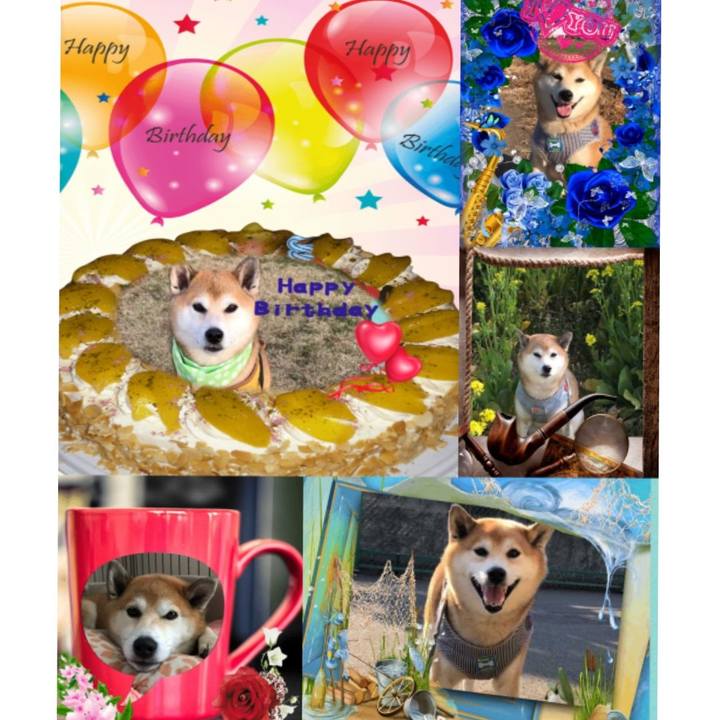 569e50a1 7fa7 451e 899b f70d19151d6f 1553965832802