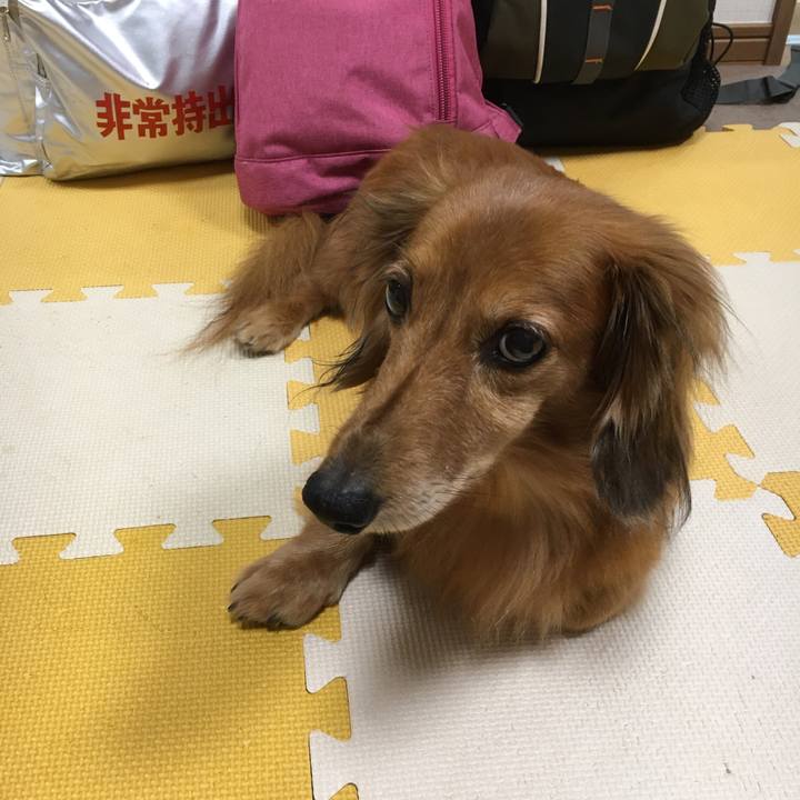 569e6df7 134b 4264 95bb 5c8df36c7aab 1570885319487