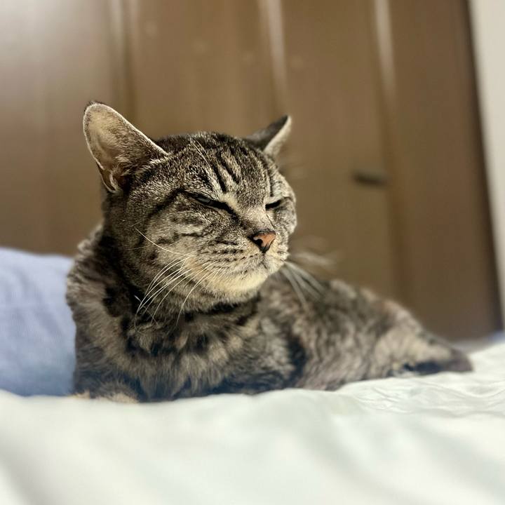 569e75f6 4b61 4379 8a4d d37c2ca42007 1760100352384