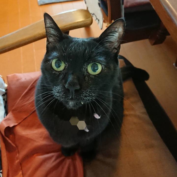 569e7ddb 802c 4255 b477 a791f0d3421f 1584368103251