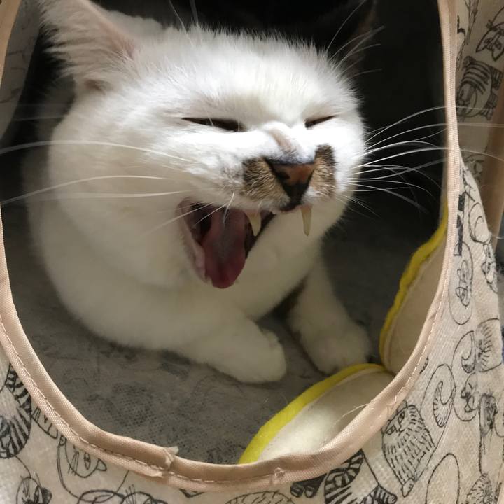 569e9609 4aba 445a 9e31 0259189009f5 1513826734537