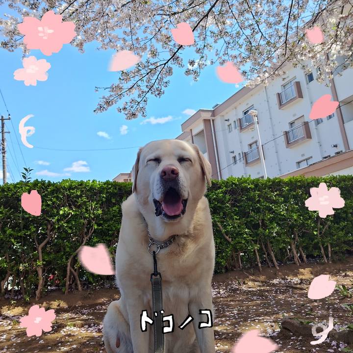 569eae84 8284 4666 8cc0 57ad6b37b870 1744256014592