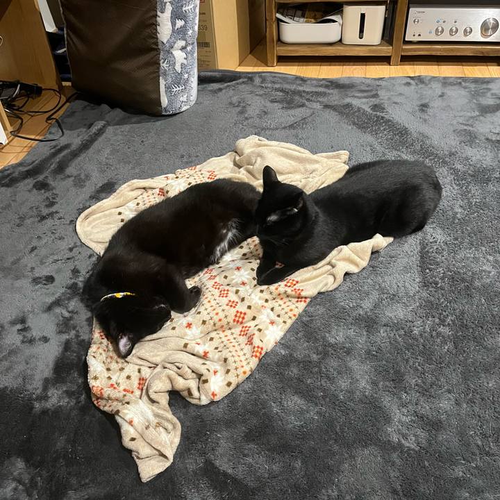 569eb5d9 4636 4fee 810f fa3d560be691 1639576970206