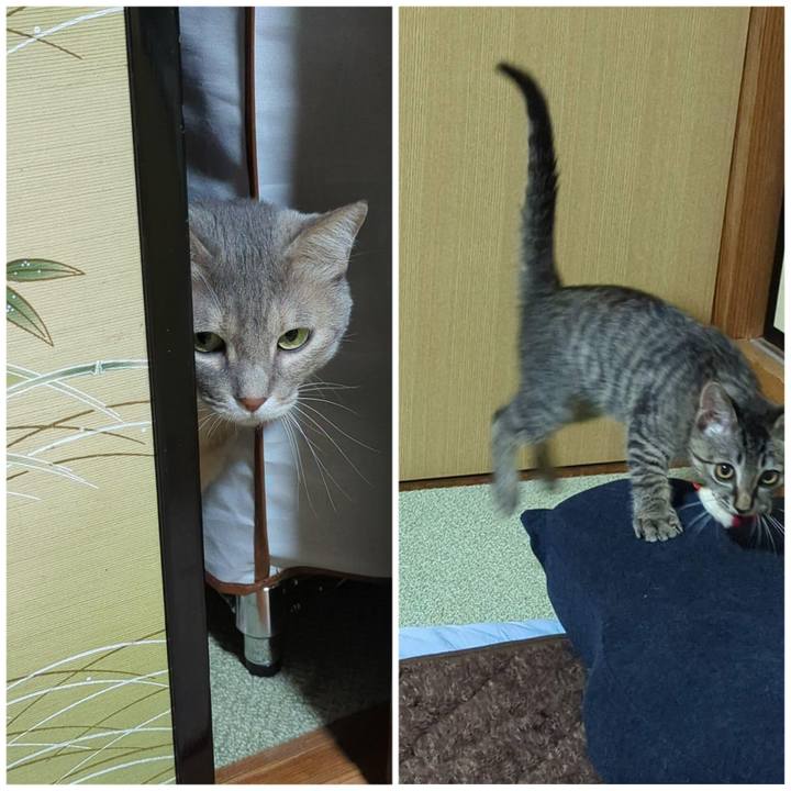 569eb6c1 b319 4ba3 8ac0 1dcb961d7af4 1701748980630