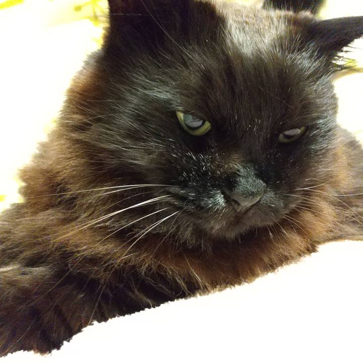 569eccdd c2b0 456c b907 7f4f9325be31 1649937401653