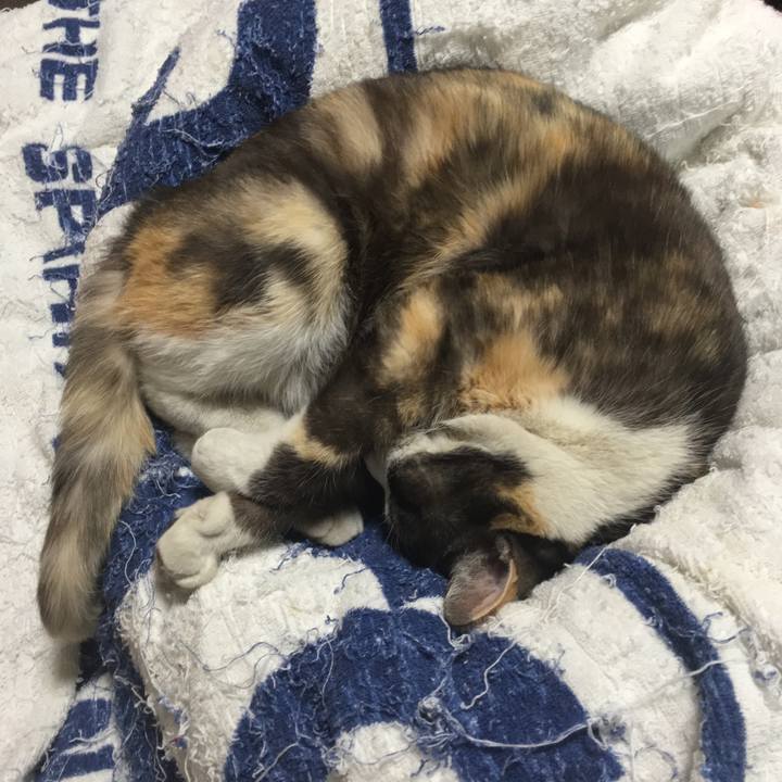 569ee113 39a0 4c75 be35 a911dde2f770 1519469267680