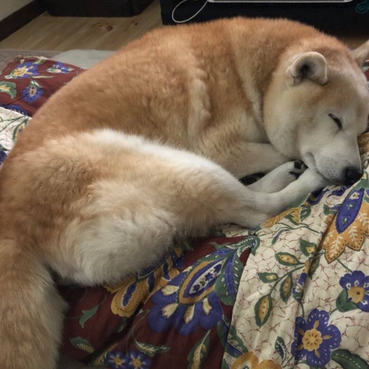 569ee3a6 4144 4833 adf3 61770e925e7c 1544498604832