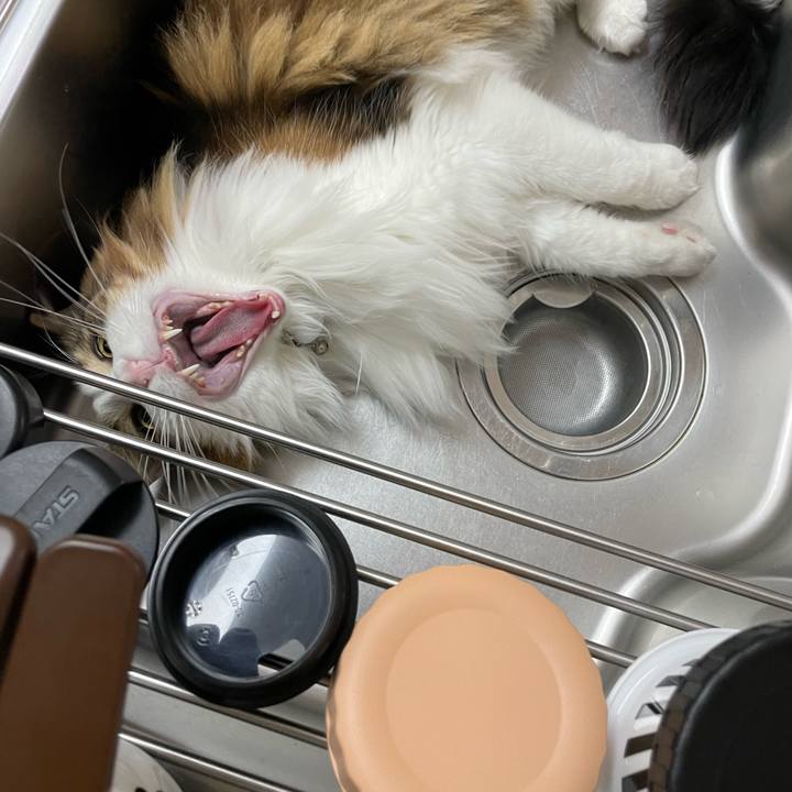 569f3f1f 5890 492b 8912 d415a2728571 1669664864635