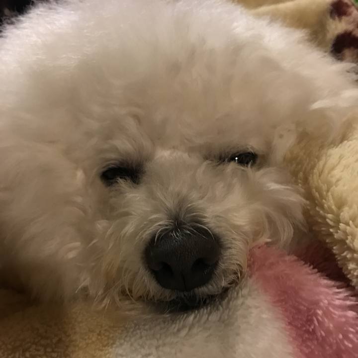 569fabdf f911 422b abf1 cfc419913961 1547204641720