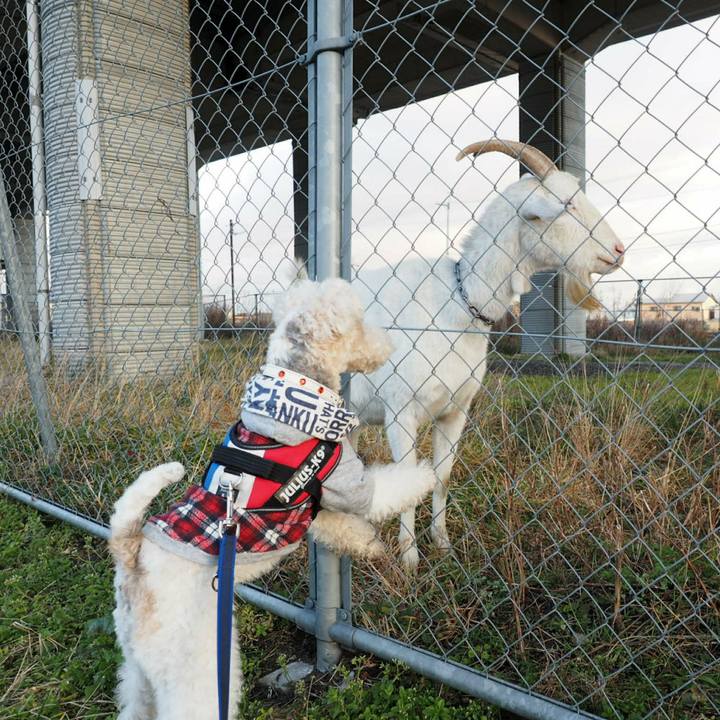 569fc26a 2af8 44b8 95fd cb344432d81b 1515155231624