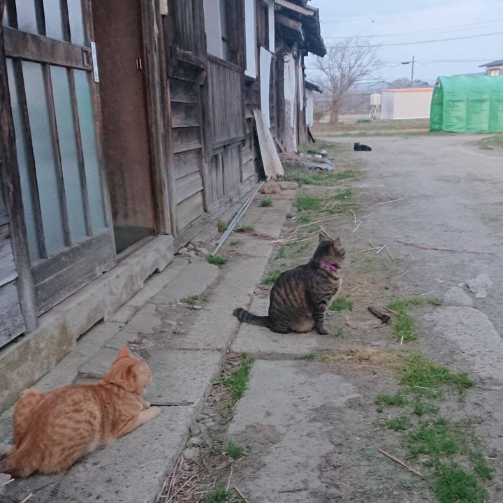 569fd10a b7b3 43eb b87a d2dc0bb92688 1649843561639