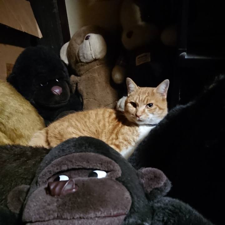 569ff48a 47cd 435a a80e 22e9fa643564 1607685835593