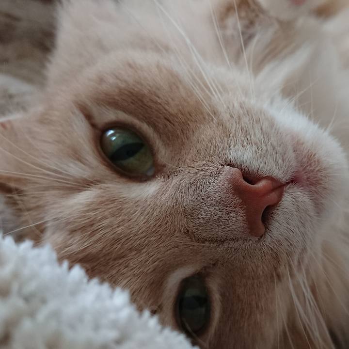 569ffd0e e367 44c5 b60a c4a2ddf6f59e 1554017663125