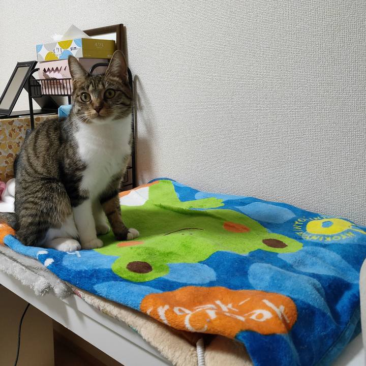 56a002db 2f5f 4962 a461 d9e0c7e6bc0f 1675953687672