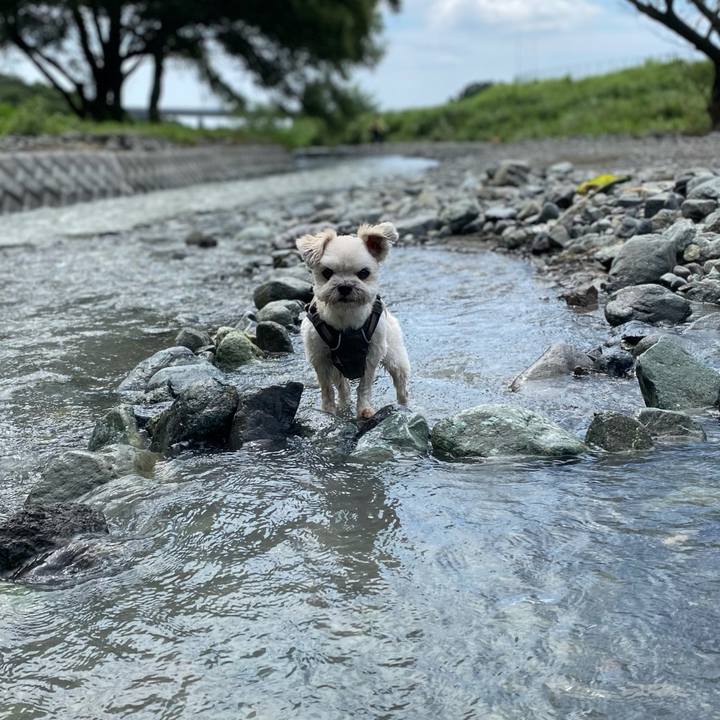 56a01007 2e7c 40df a60c 93beb91678af 1661257181568