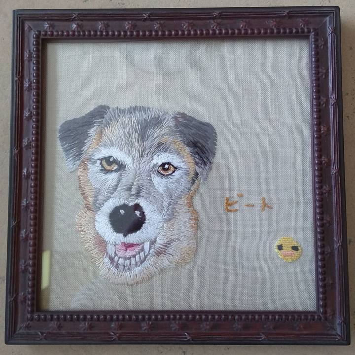 56a030a6 adc0 4938 956c 306f481dfddb 1580526188599