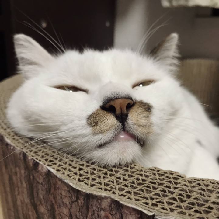 56a03118 0842 4643 8372 a7e4e2049e20 1568960446149