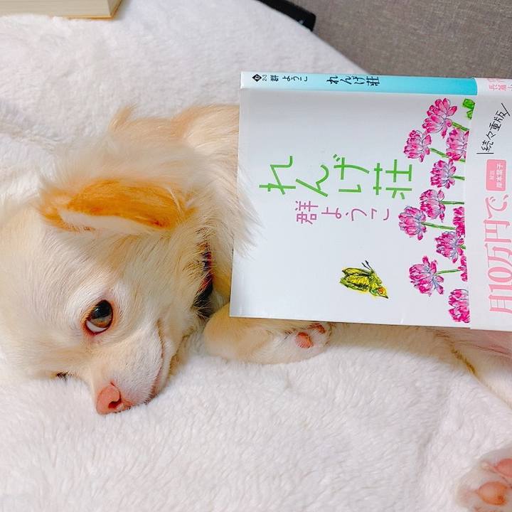 56a0648a 88b7 4d23 a414 83a1e79219fc 1632900502270