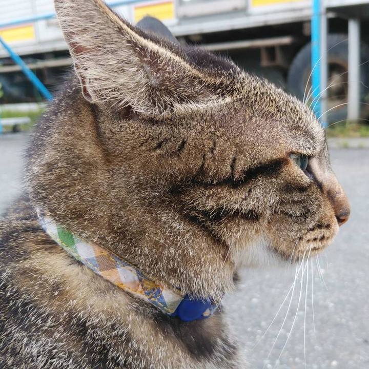 56a08ea4 6c5f 4a86 ae4e 1f91fe21e6e8 1600269011180