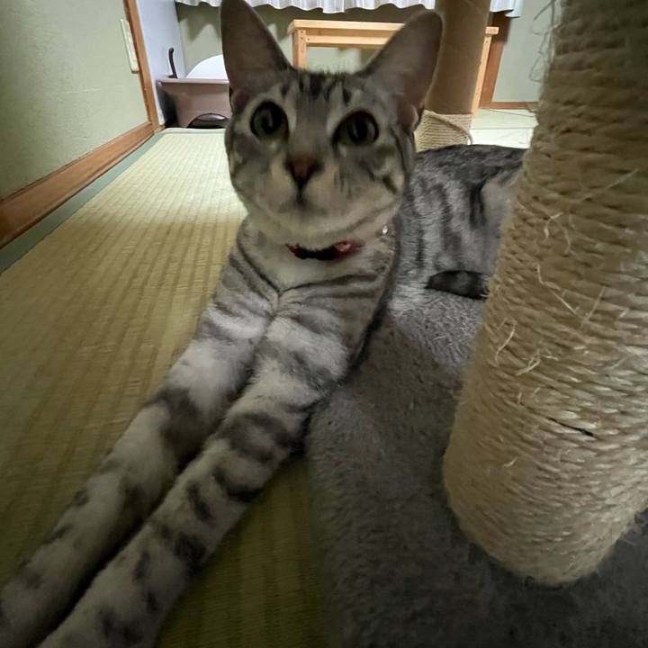 56a09a5e bffc 4efc b1e5 150930b765d6 1721976299241