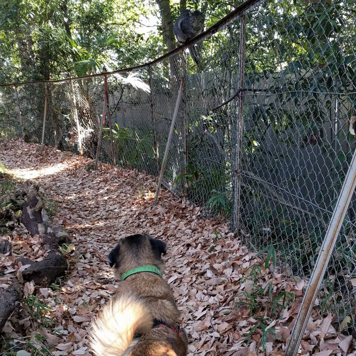 56a0b1a5 3394 4d5e b6da 7443241c162e 1514510905693