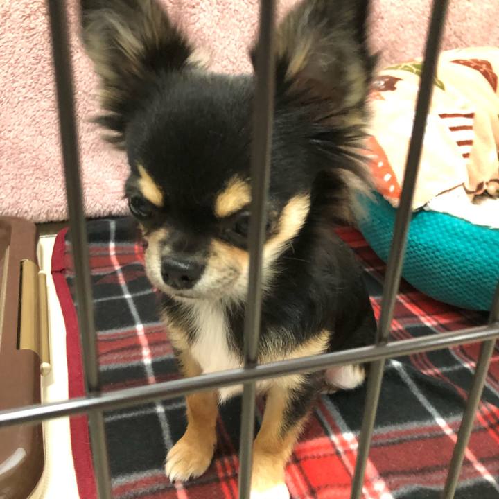 56a0cd8b 6381 437d 948f b9ea28e32d5d 1544516145007