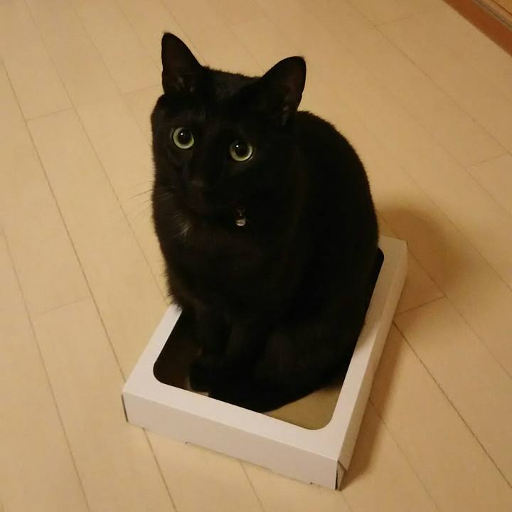 56a11448 b610 4a08 90af 2aaf8a0c743d 1549149928270